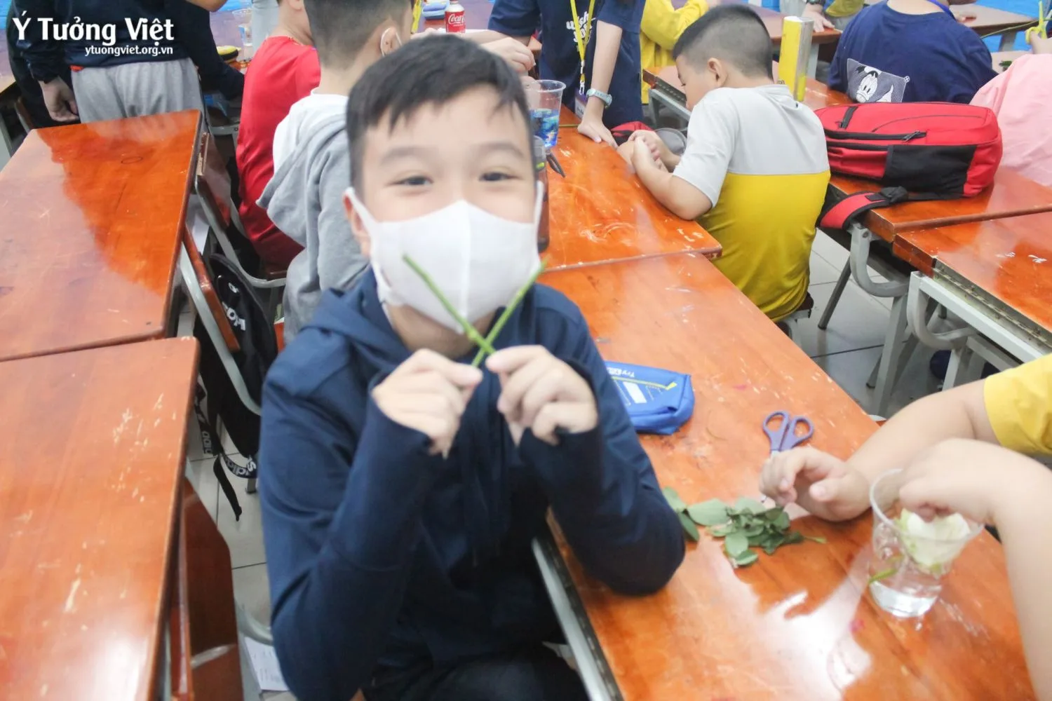Bán Trú Hè Sôi động, Tụi Mình Học Gì Khám Phá Hiện Tượng Thiên Nhiên, Khoa Học Kỳ Thú Cùng Thí Nghiệm Vòi Rồng Trong Lọ, Hoa đổi Màu 05