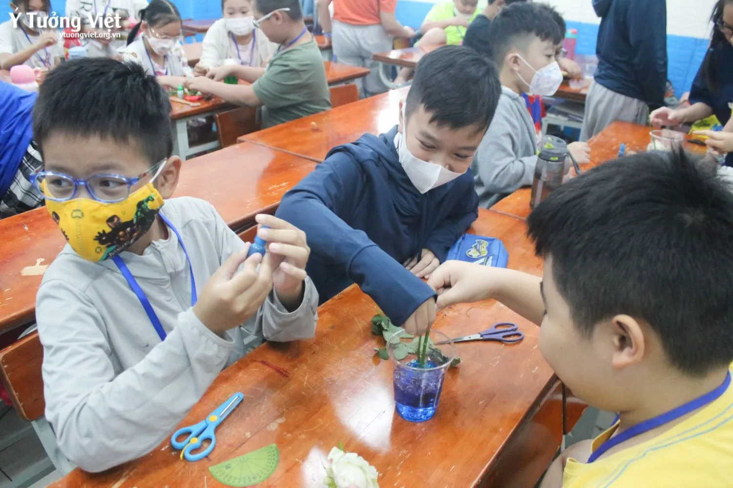 Bán Trú Hè Sôi động, Tụi Mình Học Gì Khám Phá Hiện Tượng Thiên Nhiên, Khoa Học Kỳ Thú Cùng Thí Nghiệm Vòi Rồng Trong Lọ, Hoa đổi Màu 10