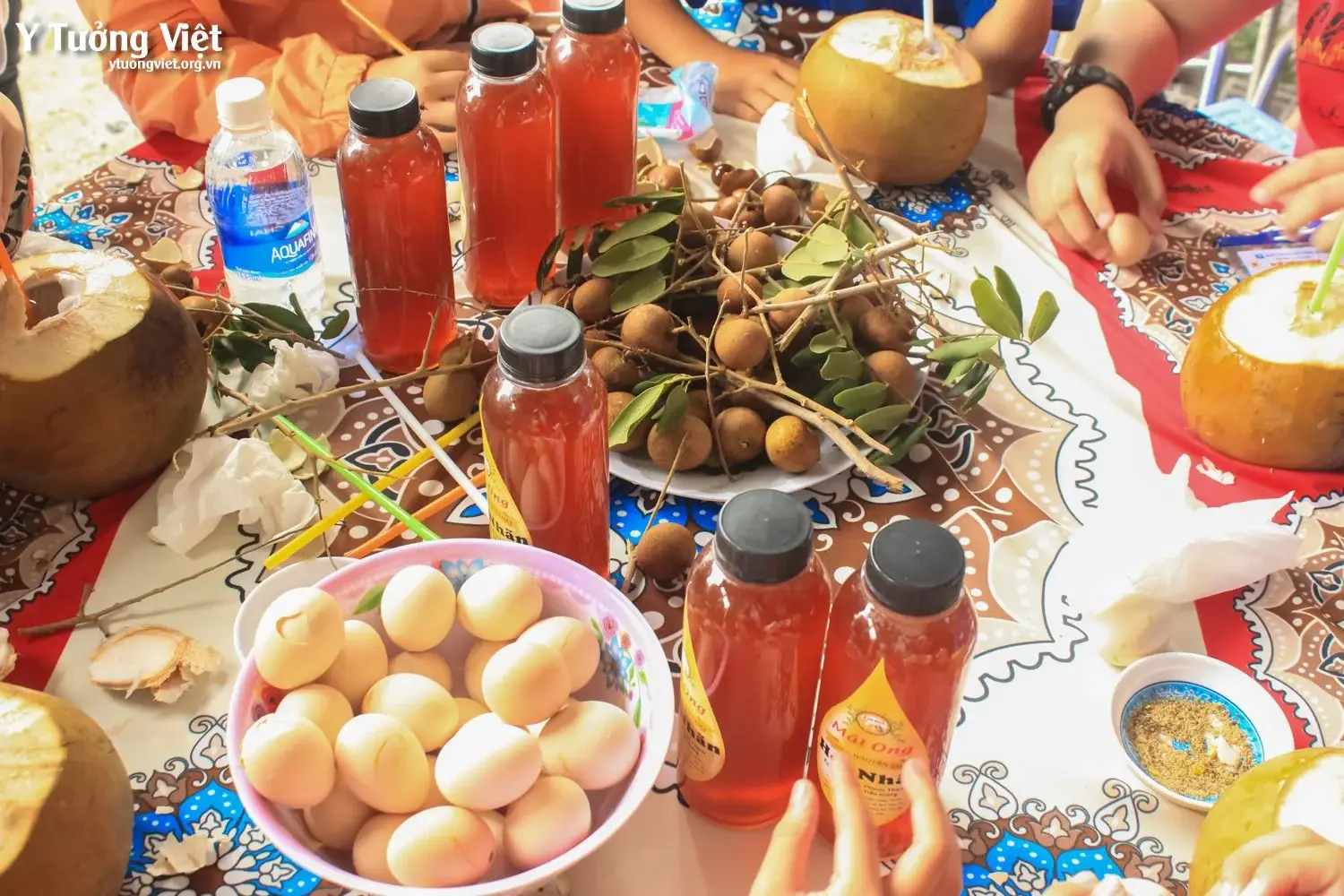 Đi ĐỂ TrƯỞng ThÀnh Chuyến Du Lịch Trải Nghiệm Kì Thú ở Châu Thành, Tiền Giang 11
