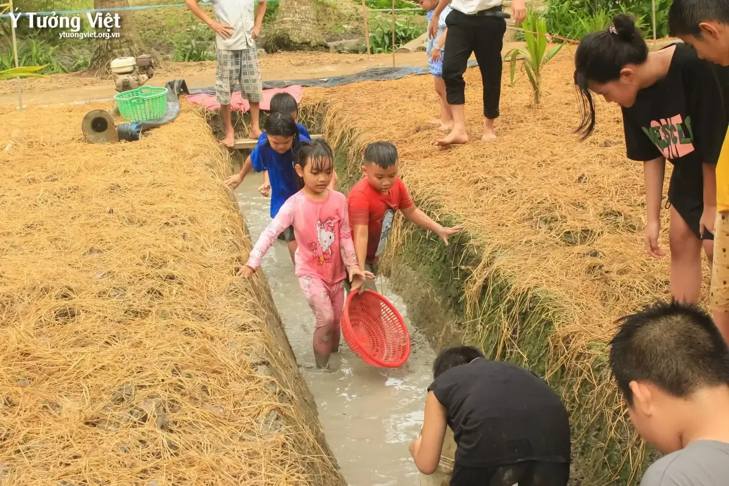 Đi ĐỂ TrƯỞng ThÀnh Chuyến Du Lịch Trải Nghiệm Kì Thú ở Châu Thành, Tiền Giang 23