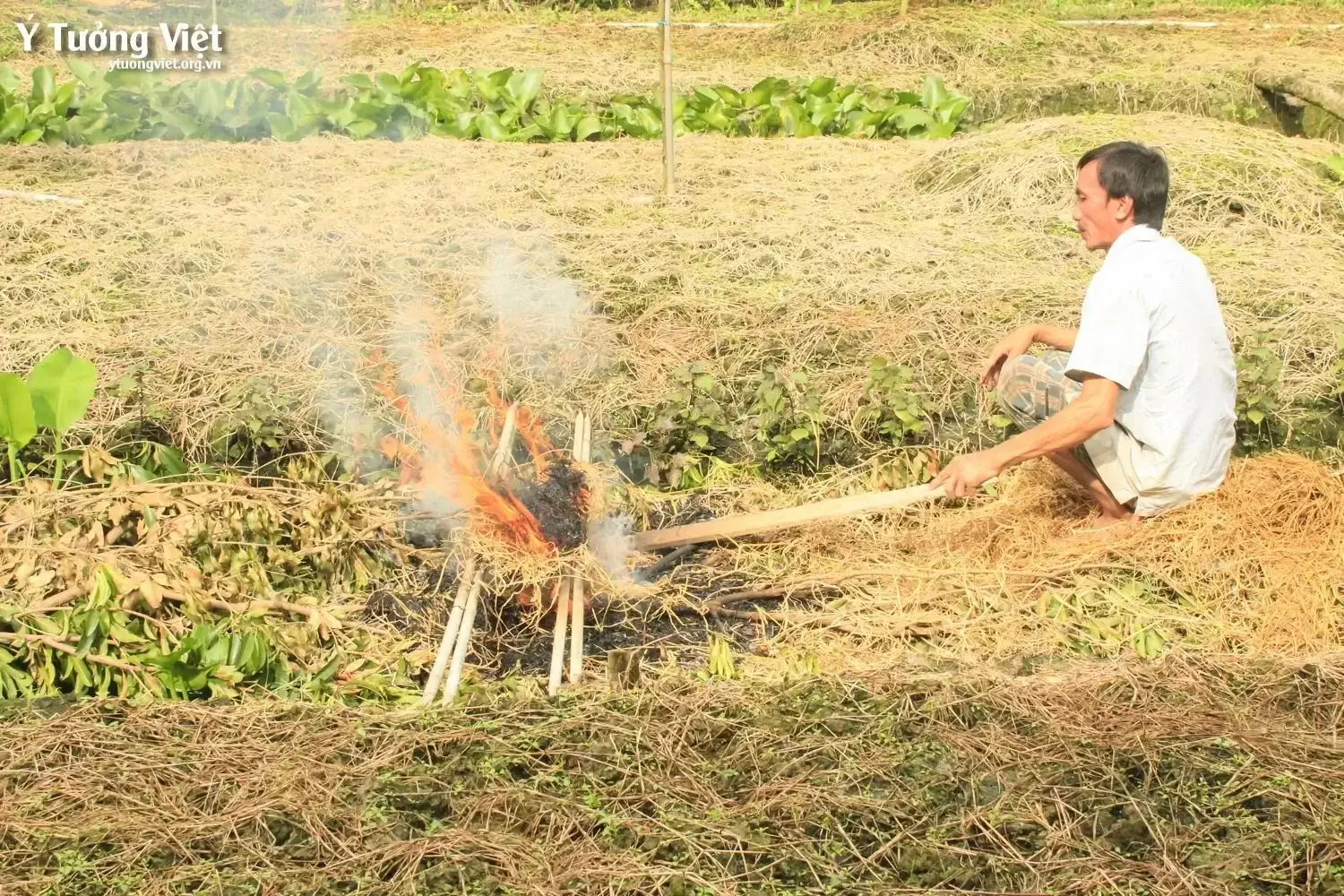 Đi ĐỂ TrƯỞng ThÀnh Chuyến Du Lịch Trải Nghiệm Kì Thú ở Châu Thành, Tiền Giang 26