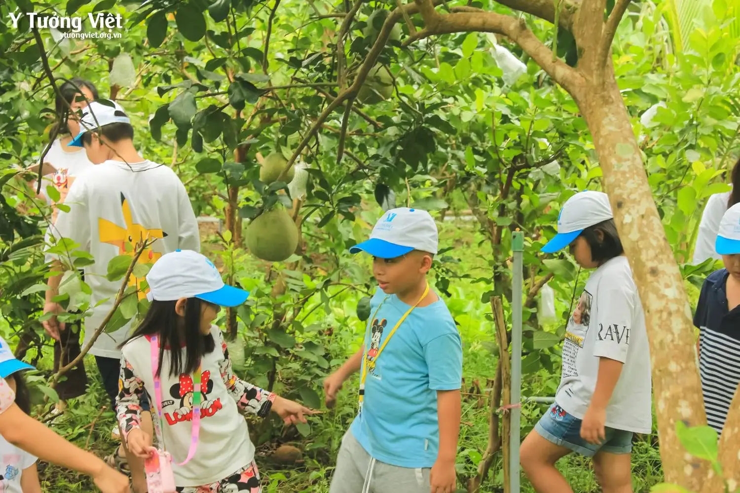 Đi ĐỂ TrƯỞng ThÀnh Chuyến Du Lịch Trải Nghiệm Kì Thú ở Châu Thành, Tiền Giang 34