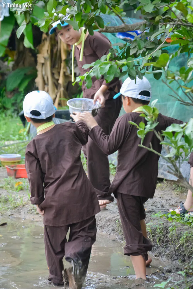 Dã Ngoại Hè Sinh Tồn Trong Thiên Nhiên Hành Trình Mang Kỹ Năng đi Từ Lớp Học đến Thực Tế Cùng Các Bạn Nhỏ Ở Khoá Hè Bản Lĩnh Nhà Ý Tưởng Việt 30