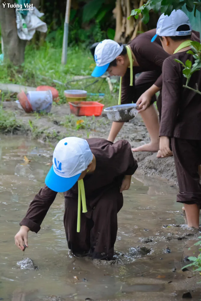 Dã Ngoại Hè Sinh Tồn Trong Thiên Nhiên Hành Trình Mang Kỹ Năng đi Từ Lớp Học đến Thực Tế Cùng Các Bạn Nhỏ Ở Khoá Hè Bản Lĩnh Nhà Ý Tưởng Việt 31