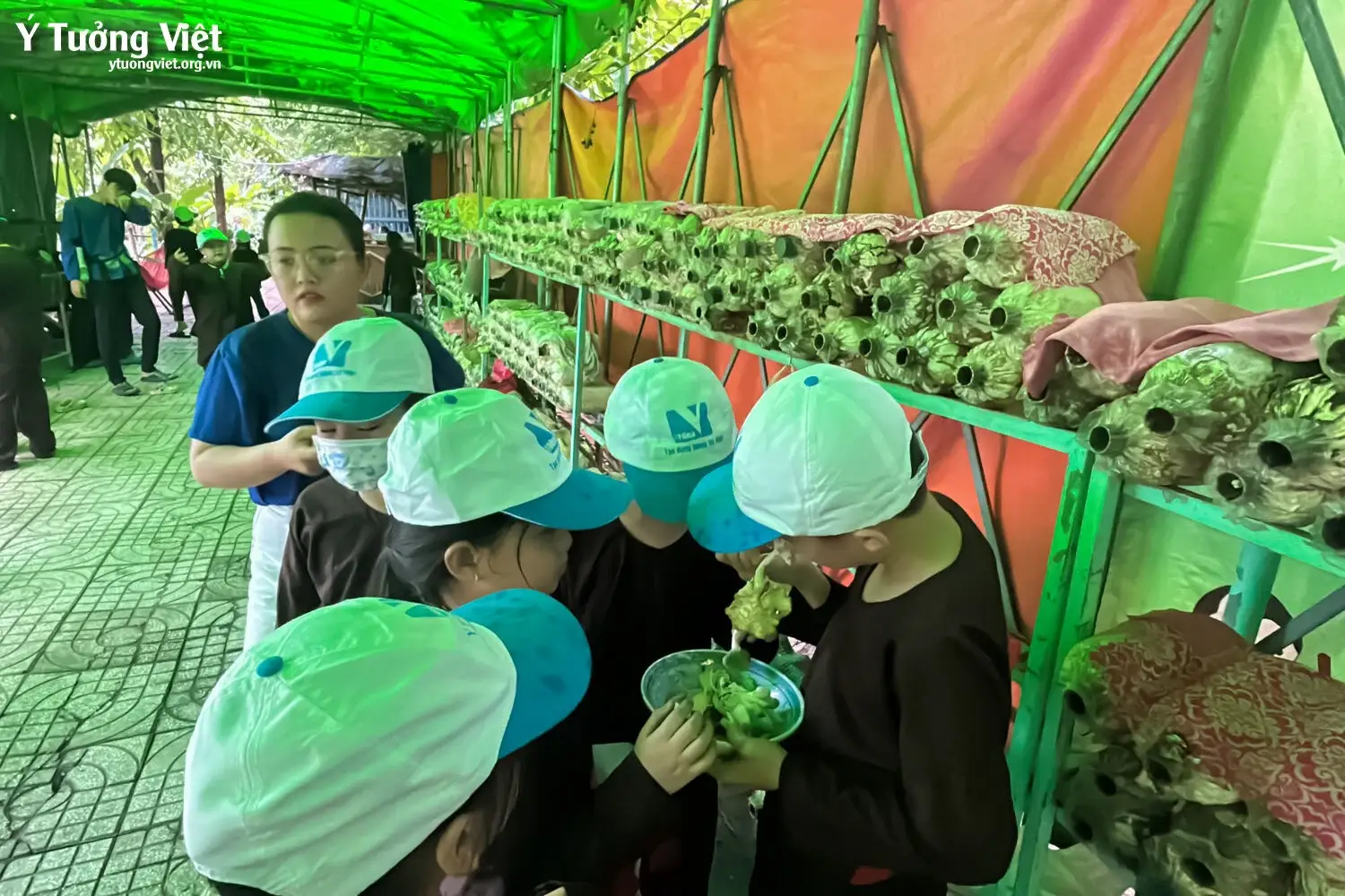 Dã Ngoại Hè Sinh Tồn Trong Thiên Nhiên Hành Trình Mang Kỹ Năng đi Từ Lớp Học đến Thực Tế Cùng Các Bạn Nhỏ Ở Khoá Hè Bản Lĩnh Nhà Ý Tưởng Việt 49