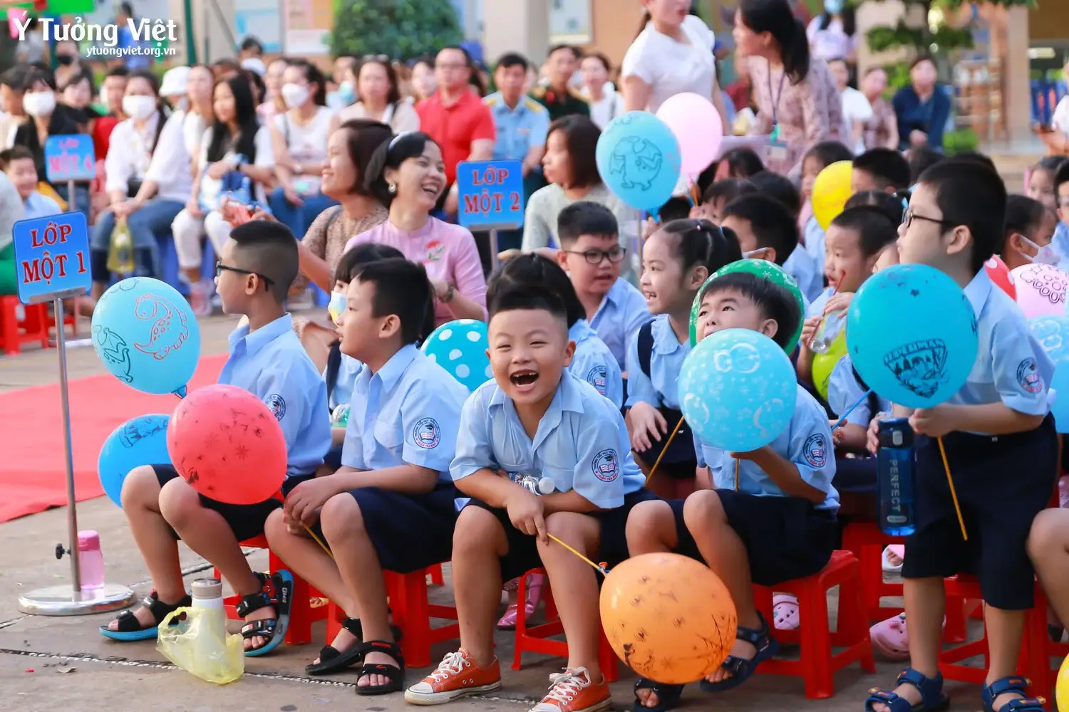 Ngày Hội Đón Học Sinh Lớp Một Trường Mới Bạn Mới 2023 Đi Học Lớp Một Mà Vui Như Các Bạn Nhỏ Trường Th Trần Quốc Tuấn Và Th Huỳnh Văn Chính Ai Lại Hông Mê 05