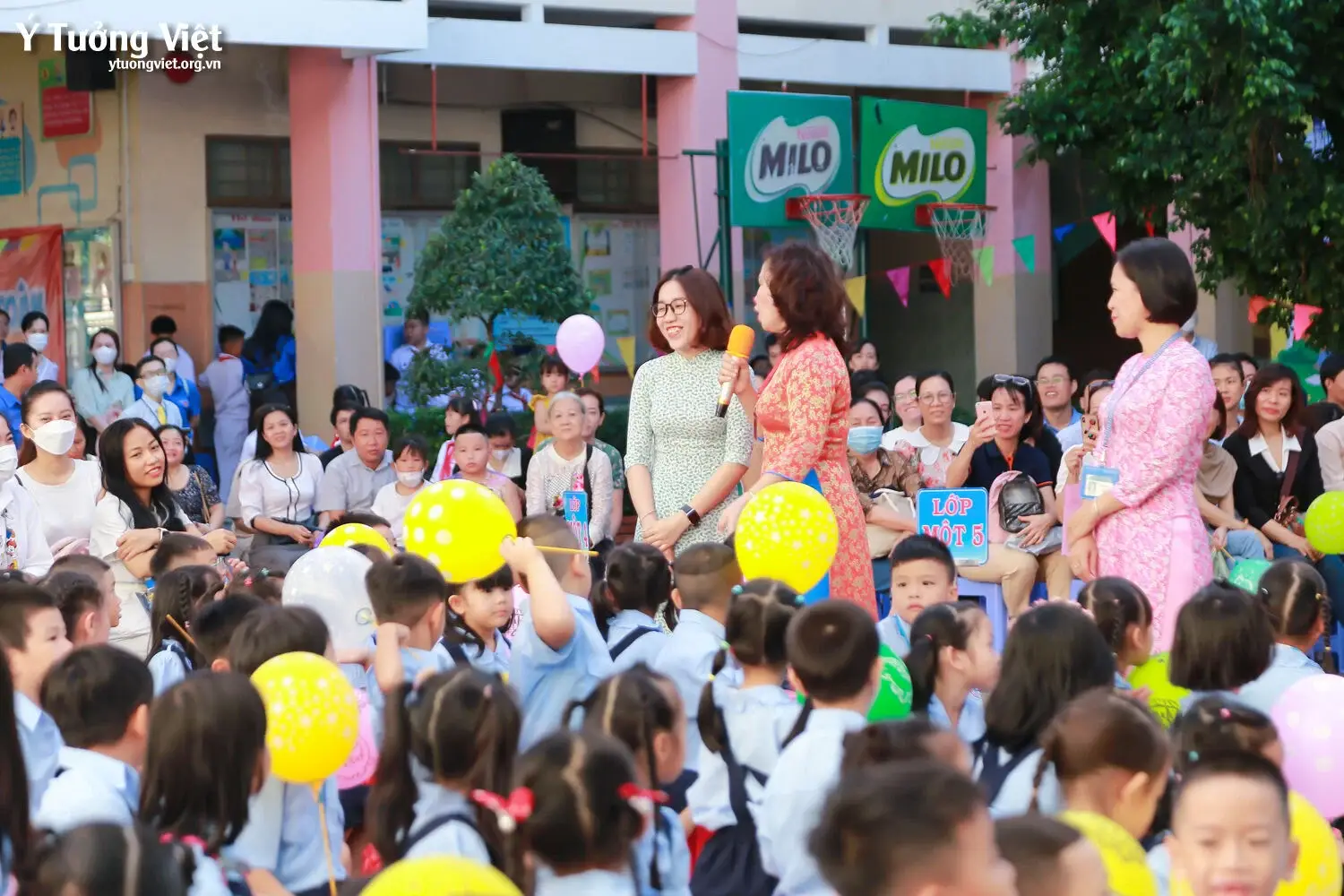 Ngày Hội Đón Học Sinh Lớp Một Trường Mới Bạn Mới 2023 Đi Học Lớp Một Mà Vui Như Các Bạn Nhỏ Trường Th Trần Quốc Tuấn Và Th Huỳnh Văn Chính Ai Lại Hông Mê 15