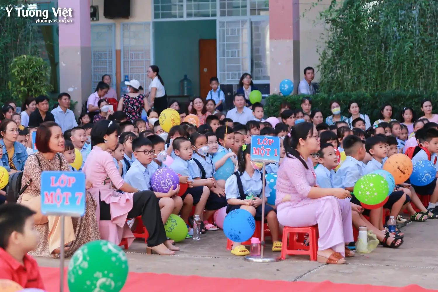 Ngày Hội Đón Học Sinh Lớp Một Trường Mới Bạn Mới 2023 Đi Học Lớp Một Mà Vui Như Các Bạn Nhỏ Trường Th Trần Quốc Tuấn Và Th Huỳnh Văn Chính Ai Lại Hông Mê 19