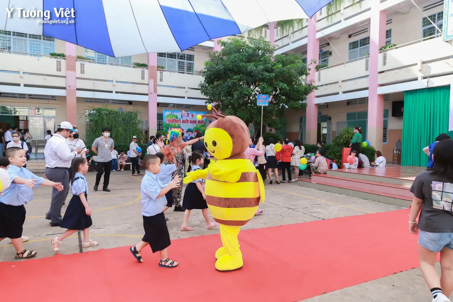 Ngày Hội Đón Học Sinh Lớp Một Trường Mới Bạn Mới 2023 Đi Học Lớp Một Mà Vui Như Các Bạn Nhỏ Trường Th Trần Quốc Tuấn Và Th Huỳnh Văn Chính Ai Lại Hông Mê 66