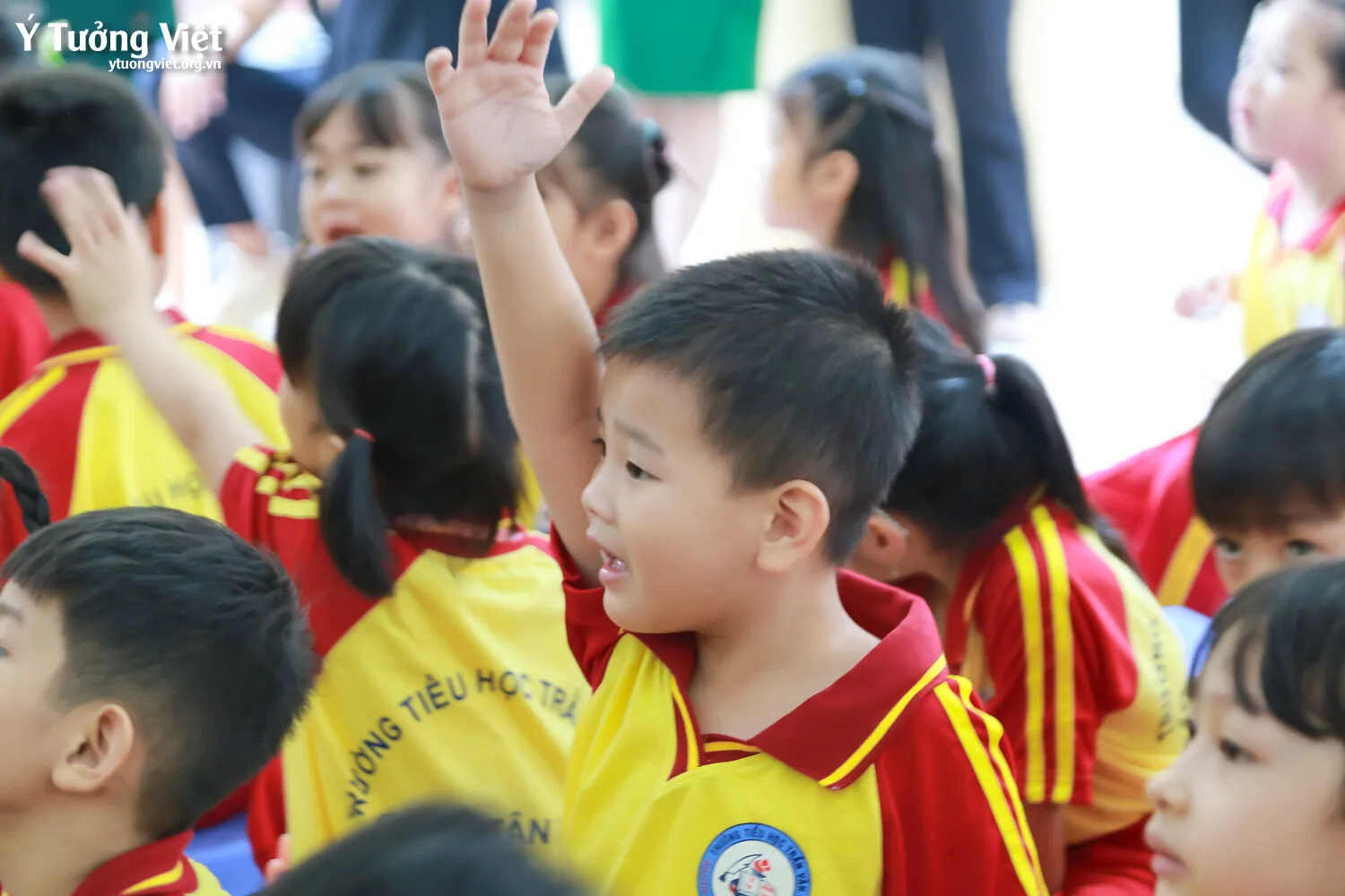 Ngày Hội Đón Học Sinh Lớp Một Trường Mới Bạn Mới 2023 Lưu Giữ Những Ấn Tượng đầu Tiên Thật đẹp Cùng Trường Th Hiệp Tân Th Trần Văn Ơn 72
