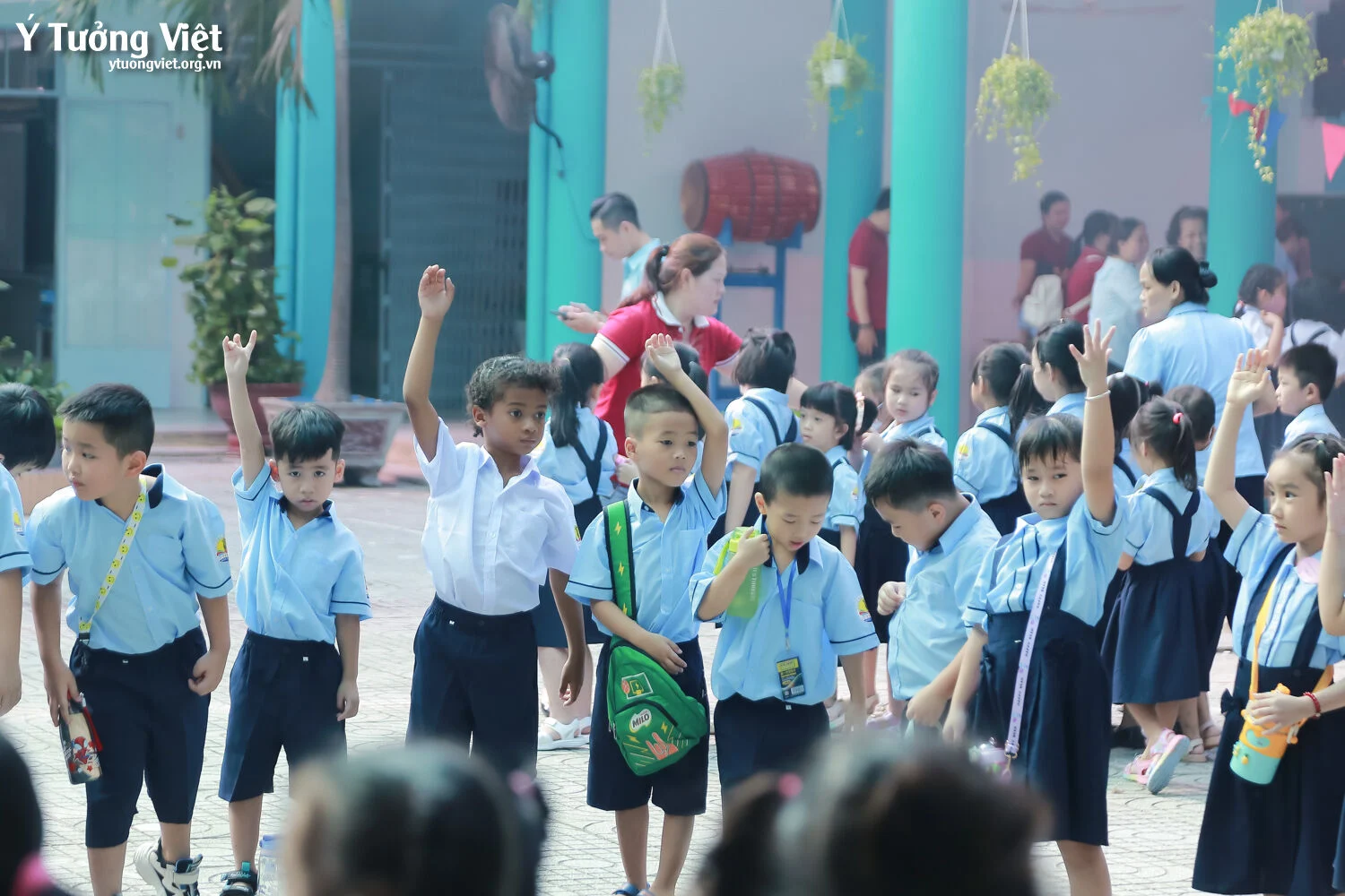 Ngày Hội Đón Học Sinh Lớp Một Trường Mới Bạn Mới 2023 Nhìn Lại Những Hình Ảnh Thật đẹp Của Các Bạn Học Sinh Lớp Một Trường Th Võ Thị Sáu Th Âu Cơ 61
