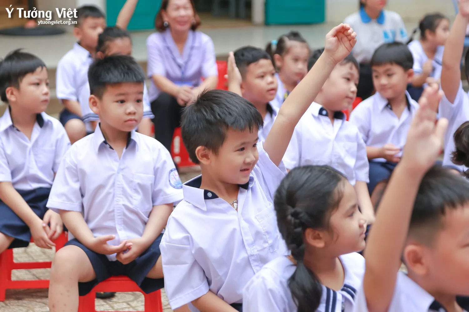 Ngày Hội Đón Học Sinh Lớp Một Trường Mới Bạn Mới 2023 Team Lớp Một Trường Th Lạc Long Quân Th Lê Thánh Tông 0 điểm Không điểm Nào Chê 11