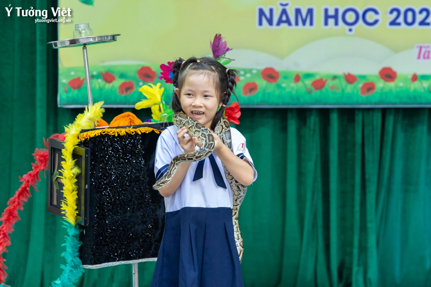 Ngày Hội Đón Học Sinh Lớp Một Trường Mới Bạn Mới 2023 Team Lớp Một Trường Th Lạc Long Quân Th Lê Thánh Tông 0 điểm Không điểm Nào Chê 64