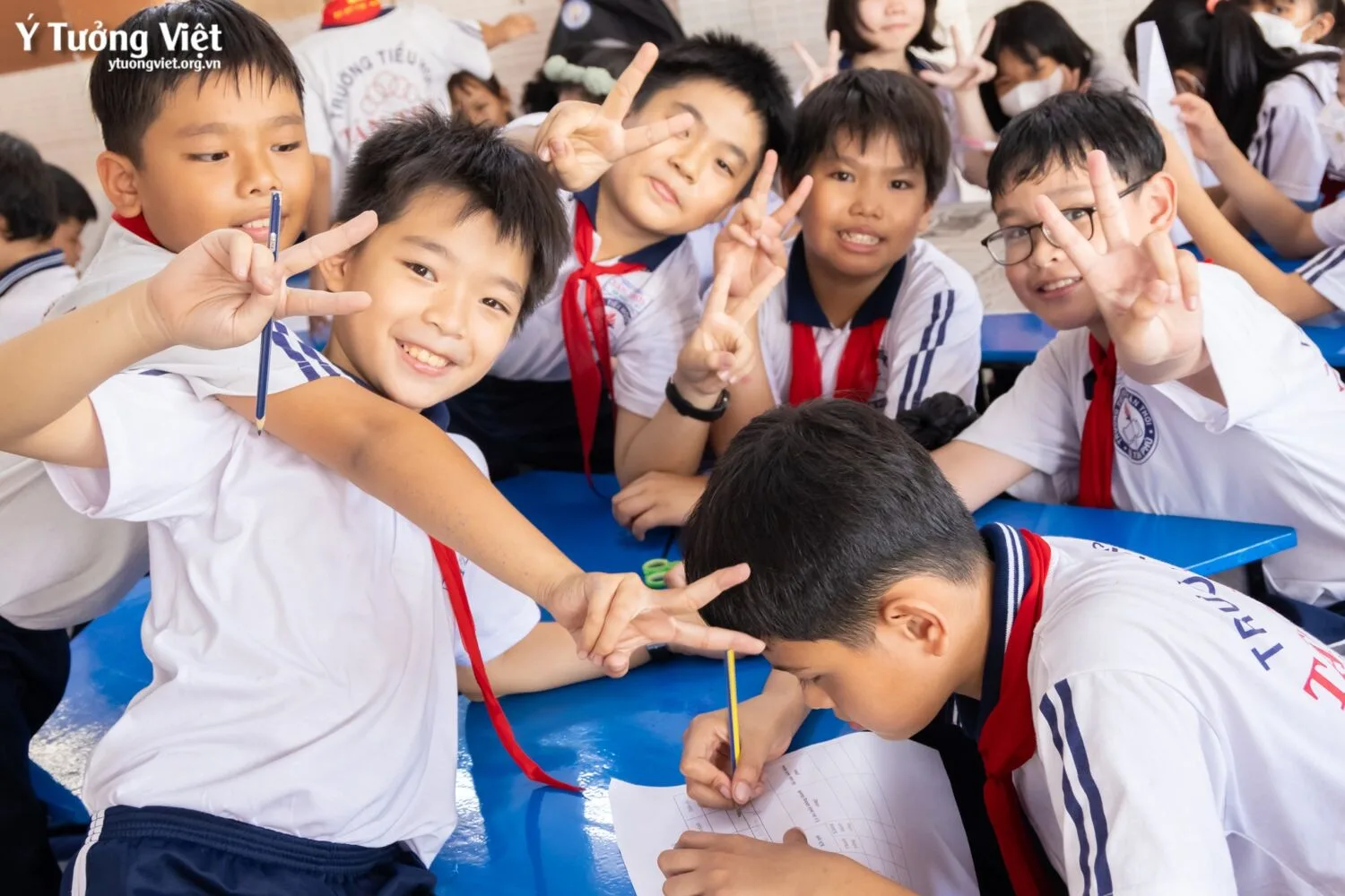 Chương Trình Giáo Dục Steam Tiểu Học Ý Tưởng Việt Tự Hào Mang đến Những Không Gian Sáng Tạo Chất Lượng 05