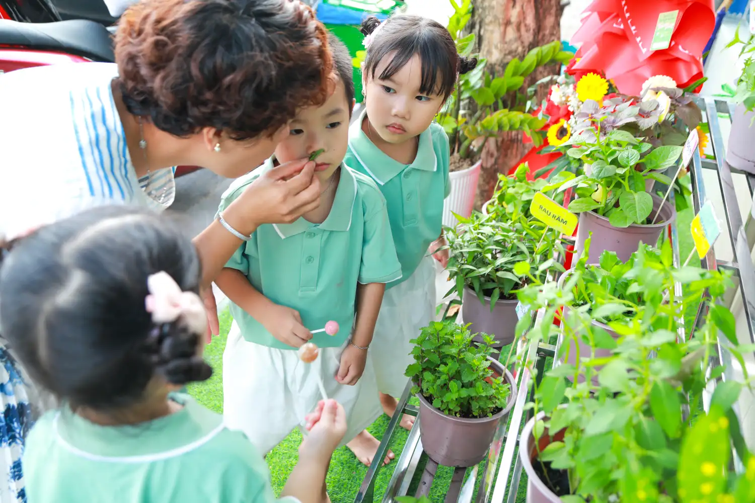 Chào đón thành viên mới: Mầm non độc lập Ý Tưởng Việt