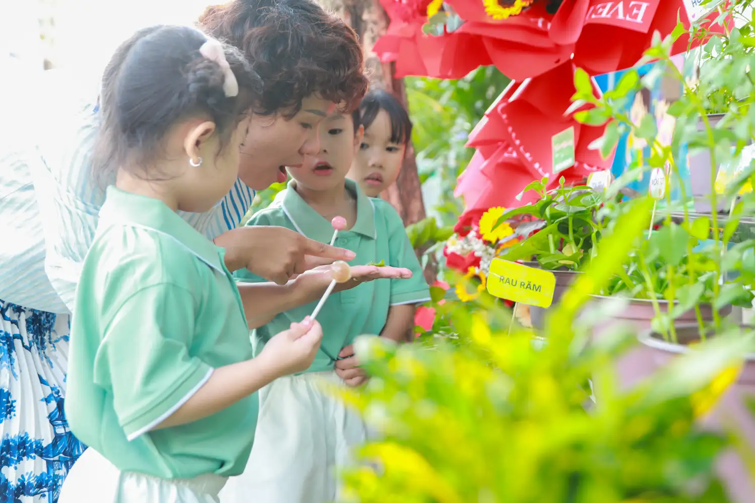 Chào đón thành viên mới: Mầm non độc lập Ý Tưởng Việt
