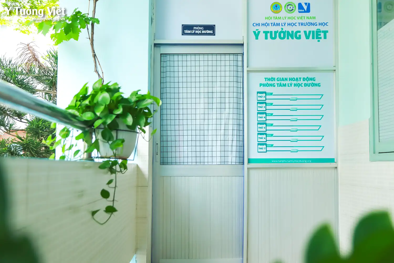 Dự án phát triển Tâm lý học đường 2024 – 2025 | Hành trình mới ở Phòng Tâm lý học đường Trường THCS Trần Quang Khải