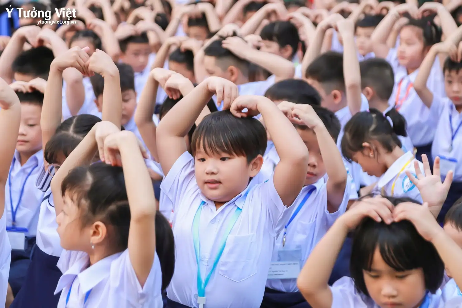 Chào mùa tựu trường 2024 – 2025 | Những khoảnh khắc “chào sân” đáng nhớ của các bạn học sinh lớp 1 trường TH Hiệp Tân – TH Lê Văn Tám – TH Phan Chu Trinh