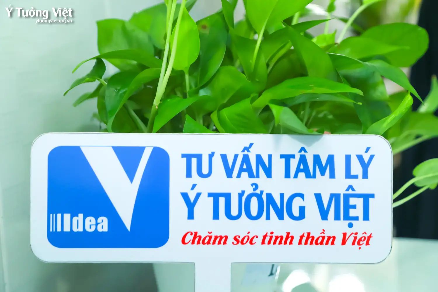 Dự án phát triển Tâm lý học đường 2024 – 2025 | Ghé thăm Phòng Tâm lý học đường trường TH Hiệp Tân – Khám phá thế giới nội tâm qua liệu pháp trò chơi