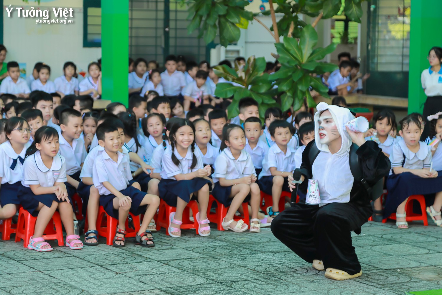 Chào mùa tựu trường 2024 – 2025 | Ngày hội đón học sinh lớp một – Lời tạm biệt ở Trường TH Phan Đăng Lưu, TH Võ Thị Sáu
