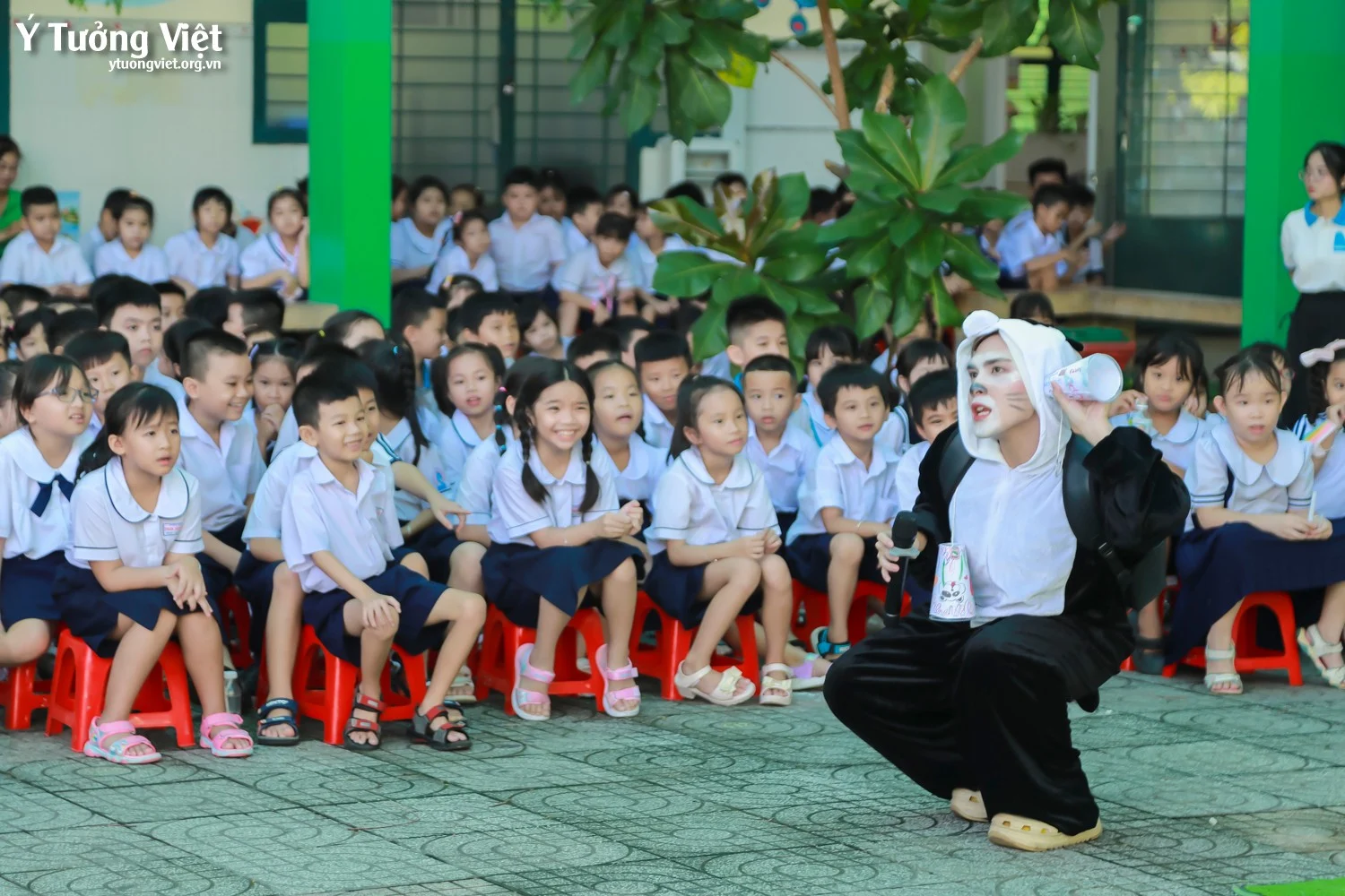 Chào mùa tựu trường 2024 – 2025 | Ngày hội đón học sinh lớp một – Lời tạm biệt ở Trường TH Phan Đăng Lưu, TH Võ Thị Sáu