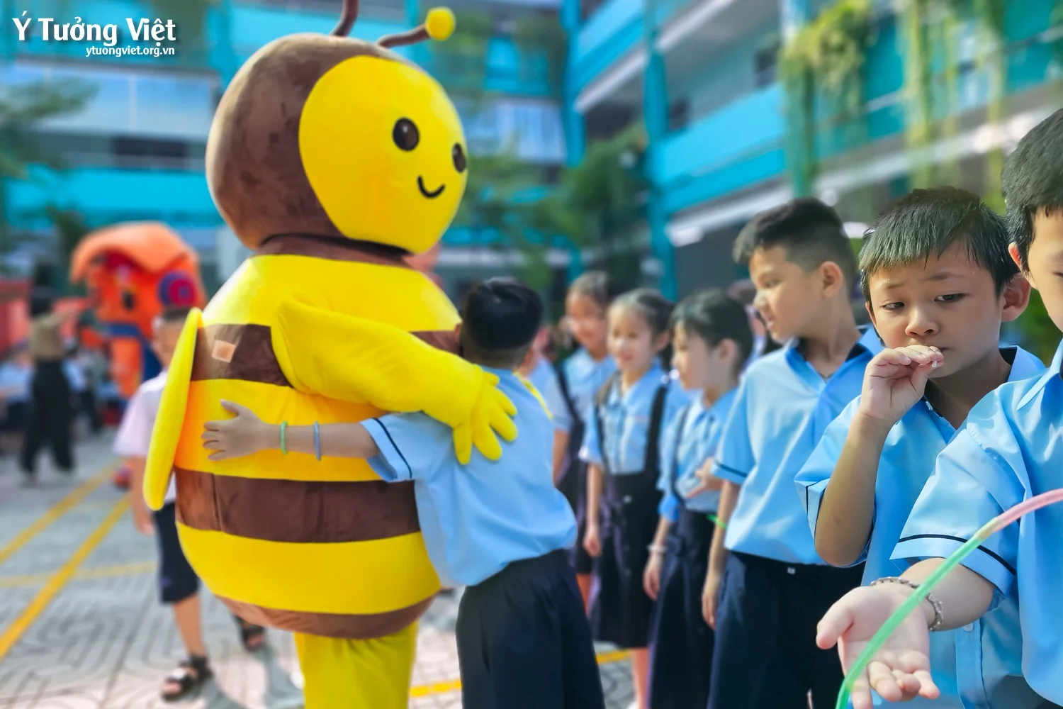 Chào mùa tựu trường 2024 – 2025 | Ngày hội đón học sinh lớp một – Lời tạm biệt ở Trường TH Phan Đăng Lưu, TH Võ Thị Sáu