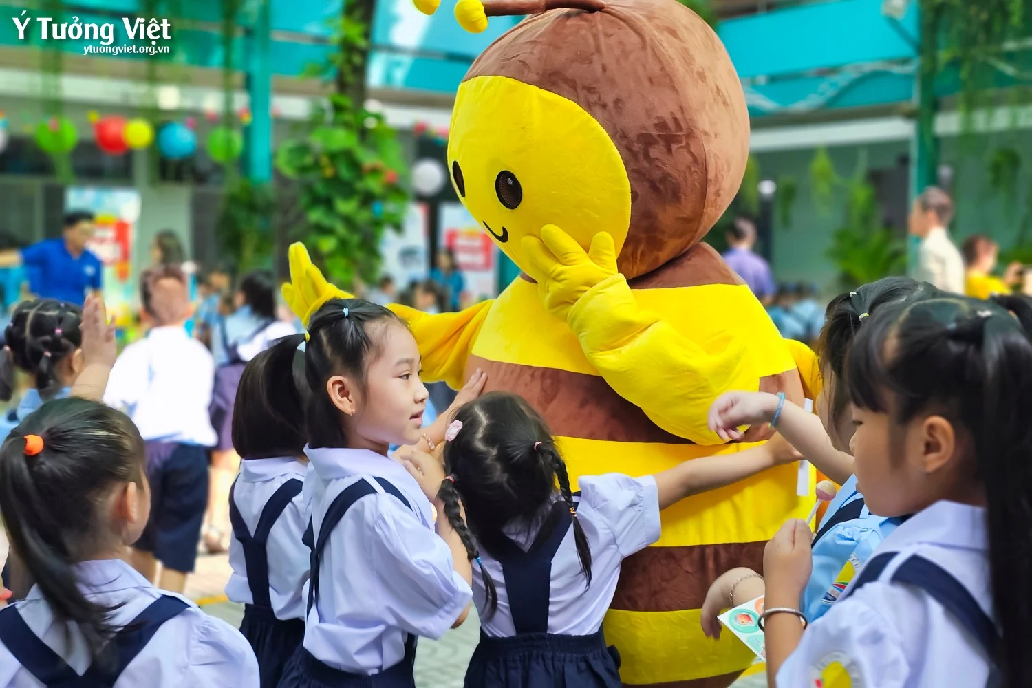 Chào mùa tựu trường 2024 – 2025 | Ngày hội đón học sinh lớp một – Lời tạm biệt ở Trường TH Phan Đăng Lưu, TH Võ Thị Sáu