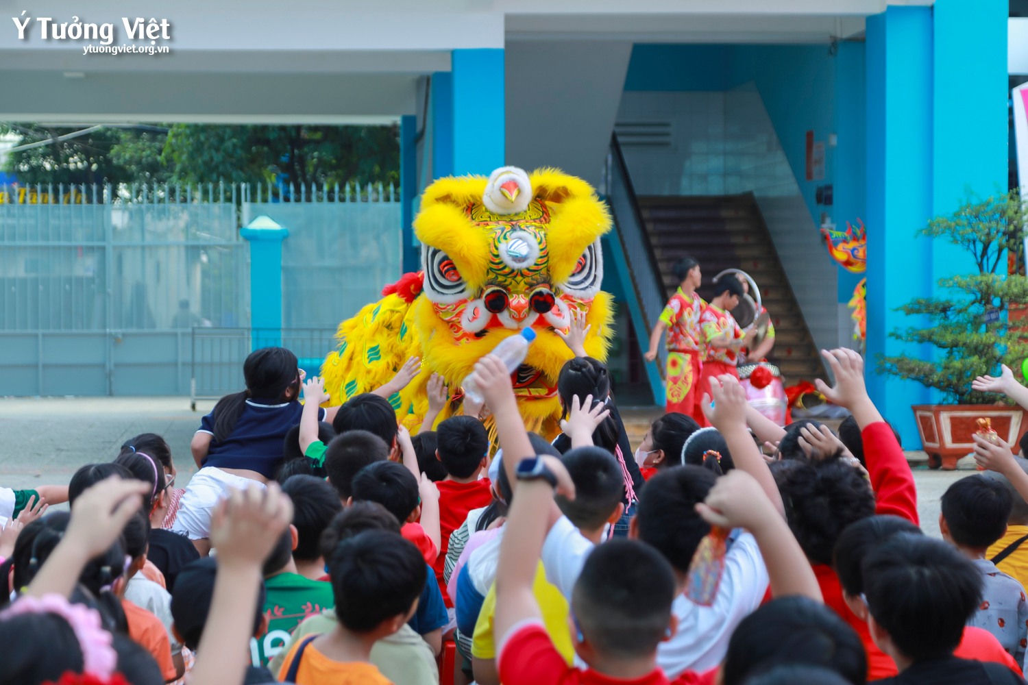 Tết vạn điều may ở TH Phan Chu Trinh – Điểm chạm giữa văn hóa truyền thống và kí ức tuổi thơ
