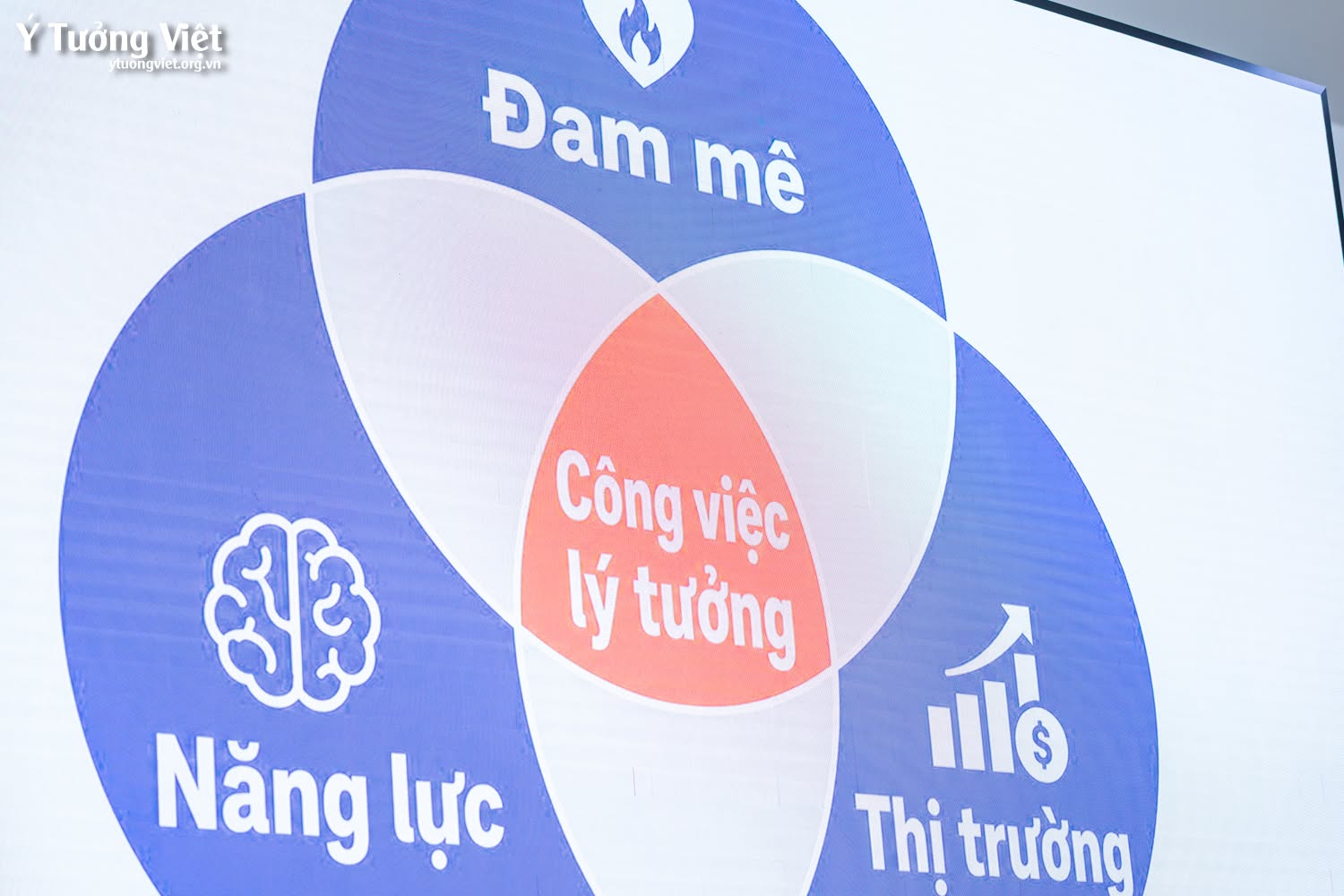 Hoạt động hướng nghiệp tại HUFLIT Campus Tour 2026 cùng Ý Tưởng Việt