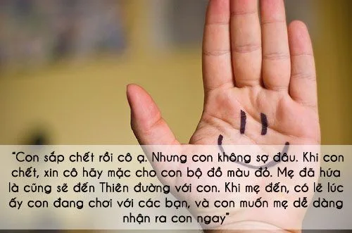 bo do mau do