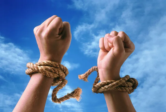 Chuyện châu chấu, trâu và người: Chúng ta đều có một nhà tù vô hình!