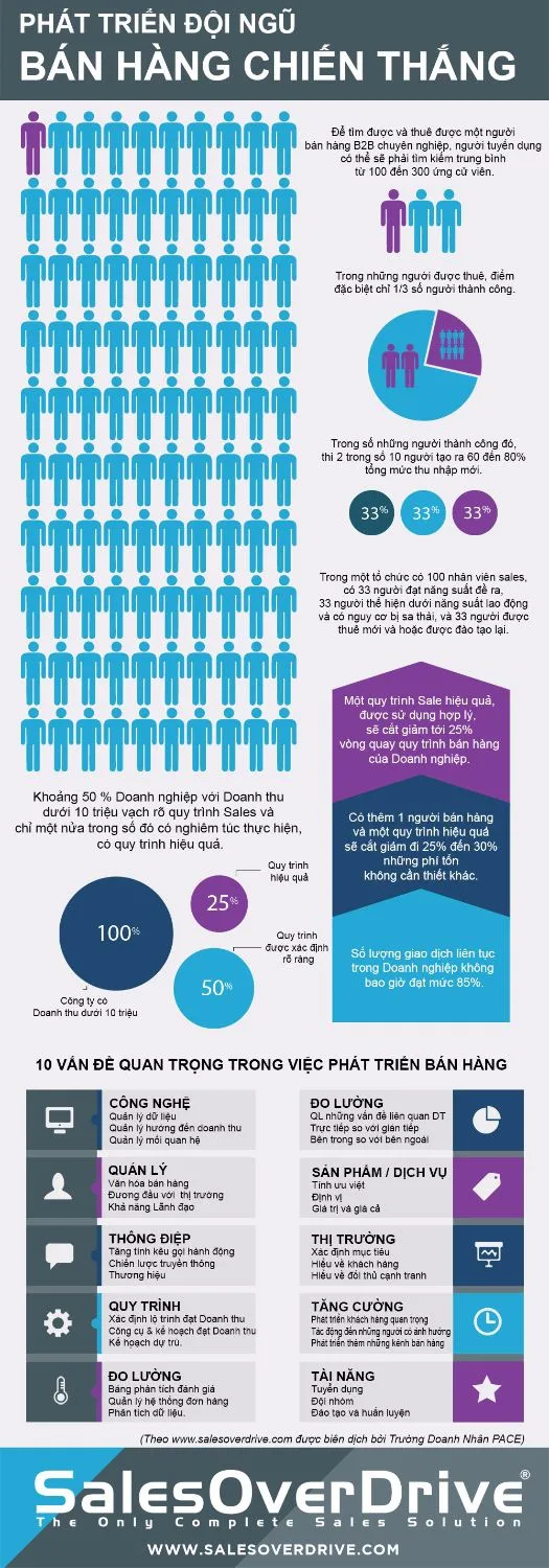 sales company infographic vni