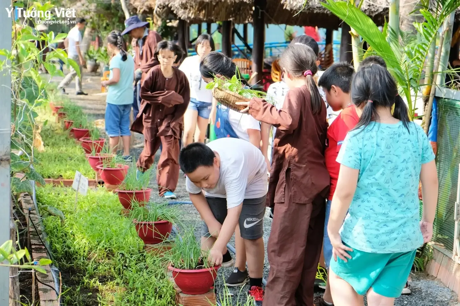 Chương trình Hoạt động trải nghiệm Vui Học Sáng Tạo