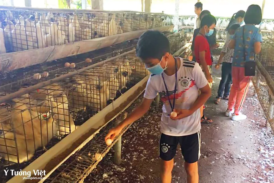Chương trình hoạt động trải nghiệm 2019 - Hè Trưởng Thành 2019