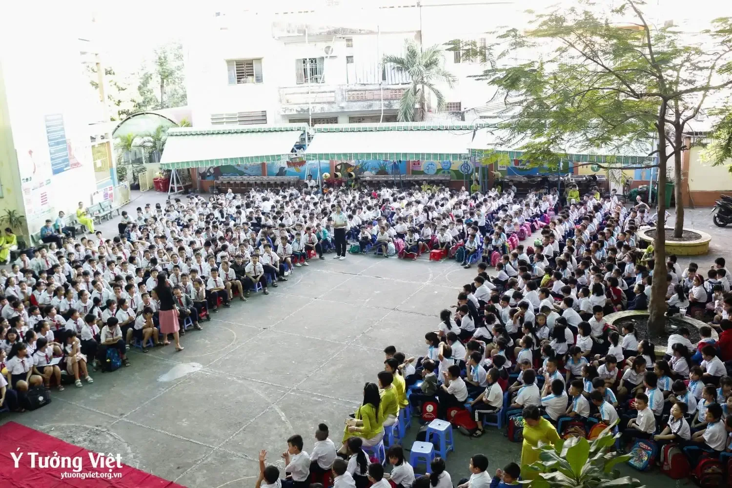 Trường TH Phan Đăng Lưu - Phòng chống bạo lực học đường