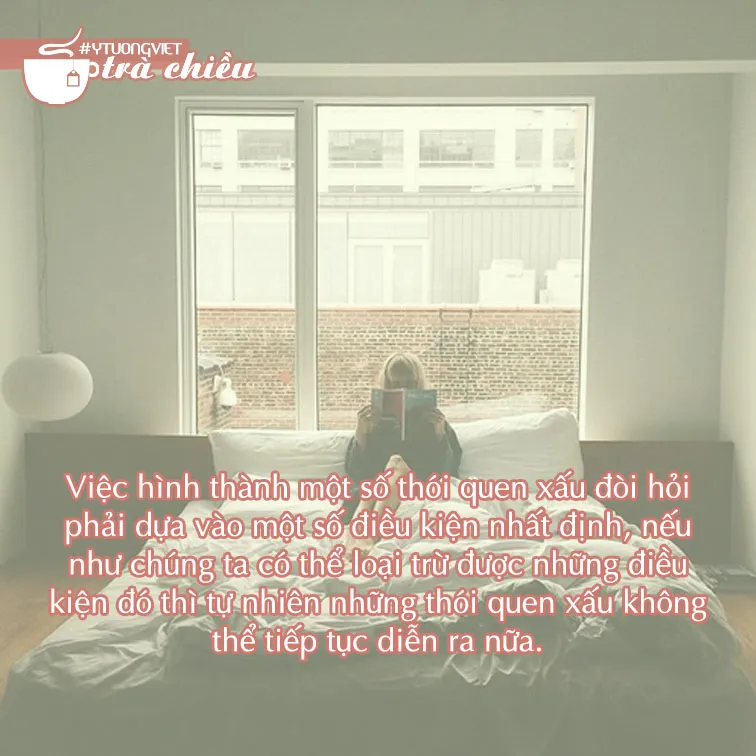 041.webp