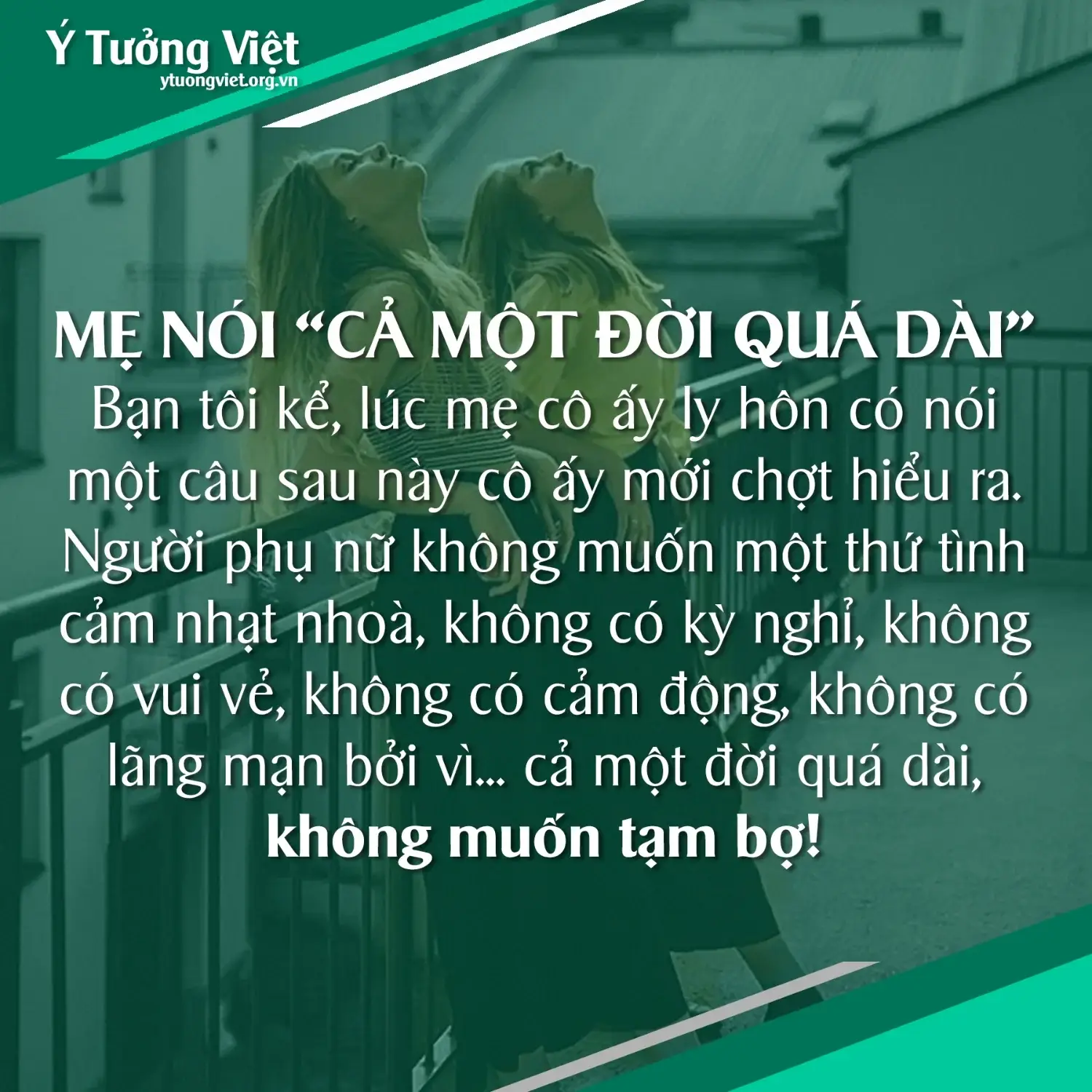 Ban Toi Ke Luc Me Co Ay Ly Hon Co Noi Voi Co Ay Mot Cauampquot Ca Mot Doi Qua Daiampquot.webp