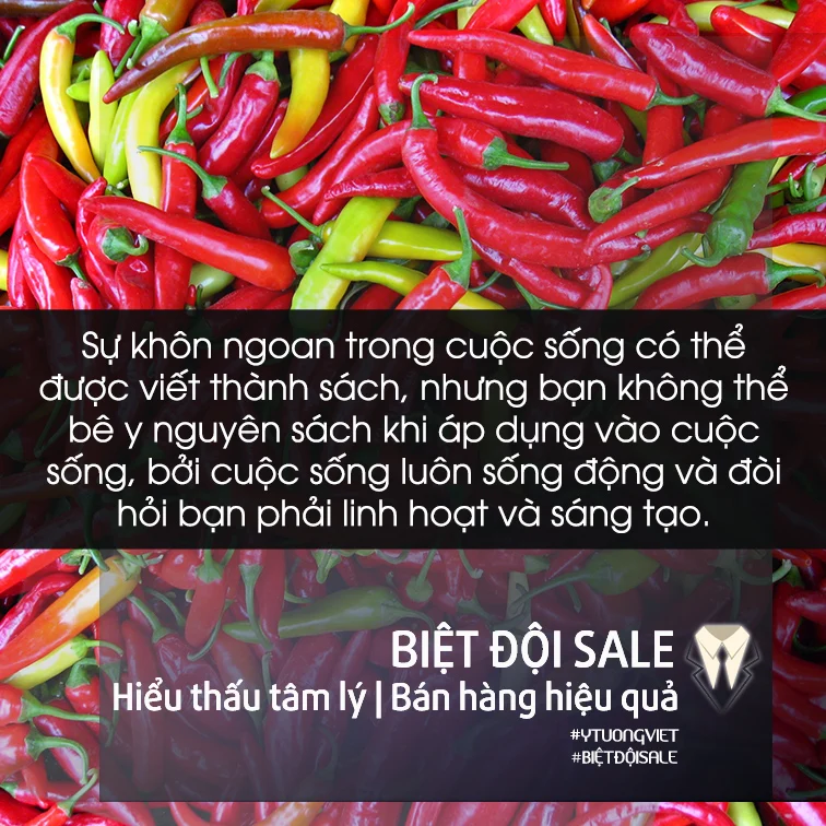 Cau Chuyen Nguoi Ban Ot Va Nghe Thuat Ban Hang Ampquotbach Phat Bach Trungampquot Dan Sales Nao Cung Phai Biet.webp