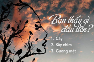 Hinh Anh Tiet Lo Ban La Ai Nen Lam Gi De Thanh Cong Trong Doi 1.png