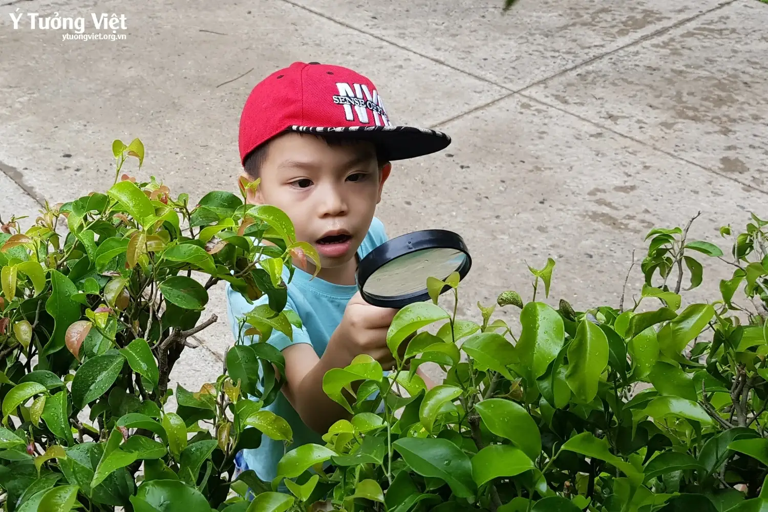 Khoa Hoc Ban Tru He 2019 Hoat Dong Kham Pha Thien Nhien 7.webp