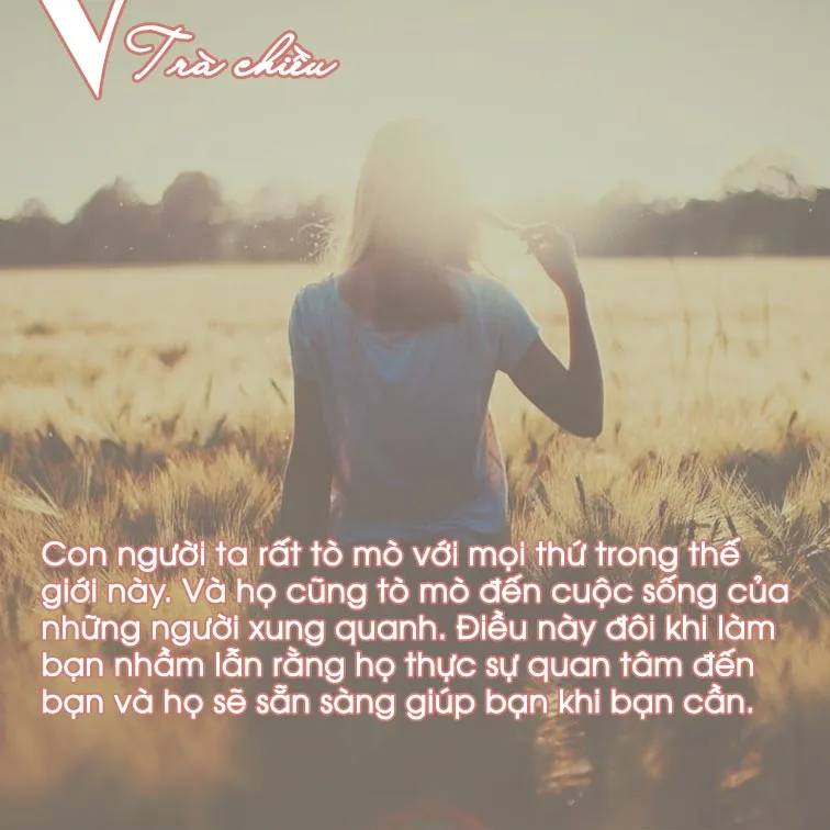Ng Trong Cho Vao Nguoi Khac Hay Tu Giai Quyet Lay Van De Cua Ban.webp