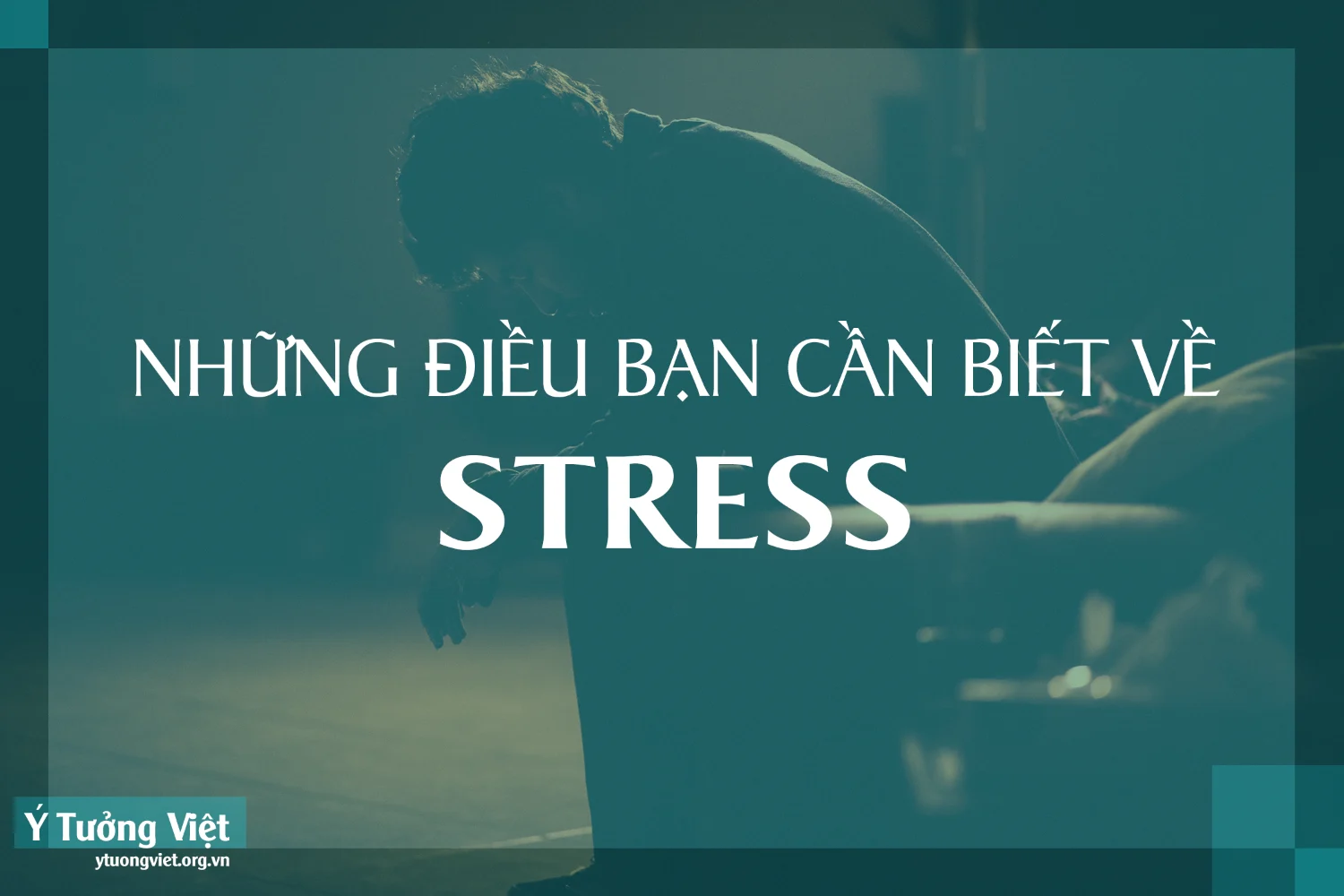 Nhung Dieu Ban Can Biet Ve Stress.png