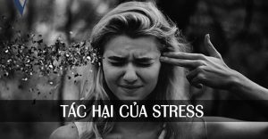 Tac Hai Cua Stress.jpg