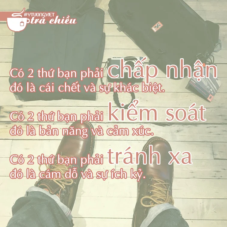 Trachieu6.webp