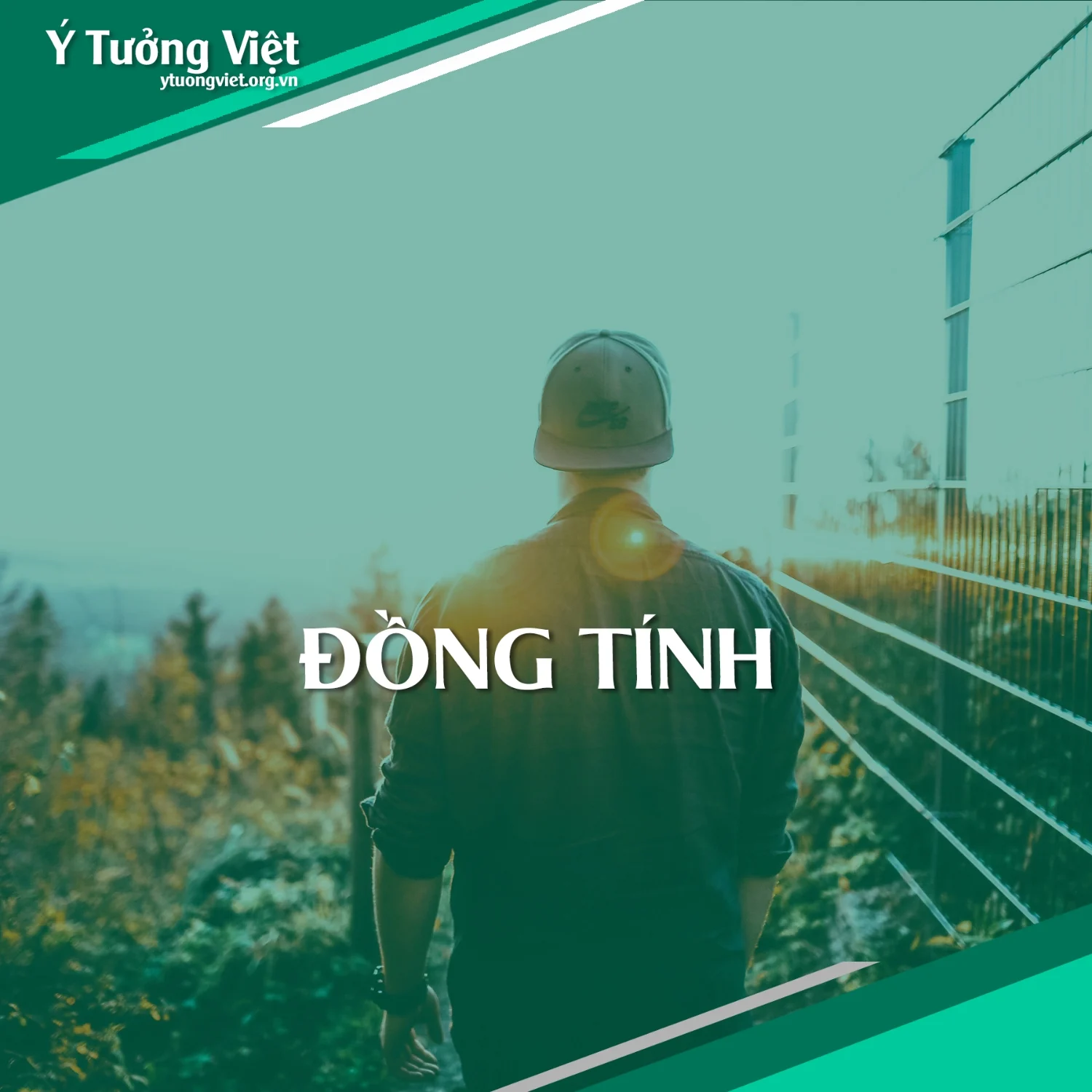 Tu Van Tam Ly Dong Tinh 1.webp