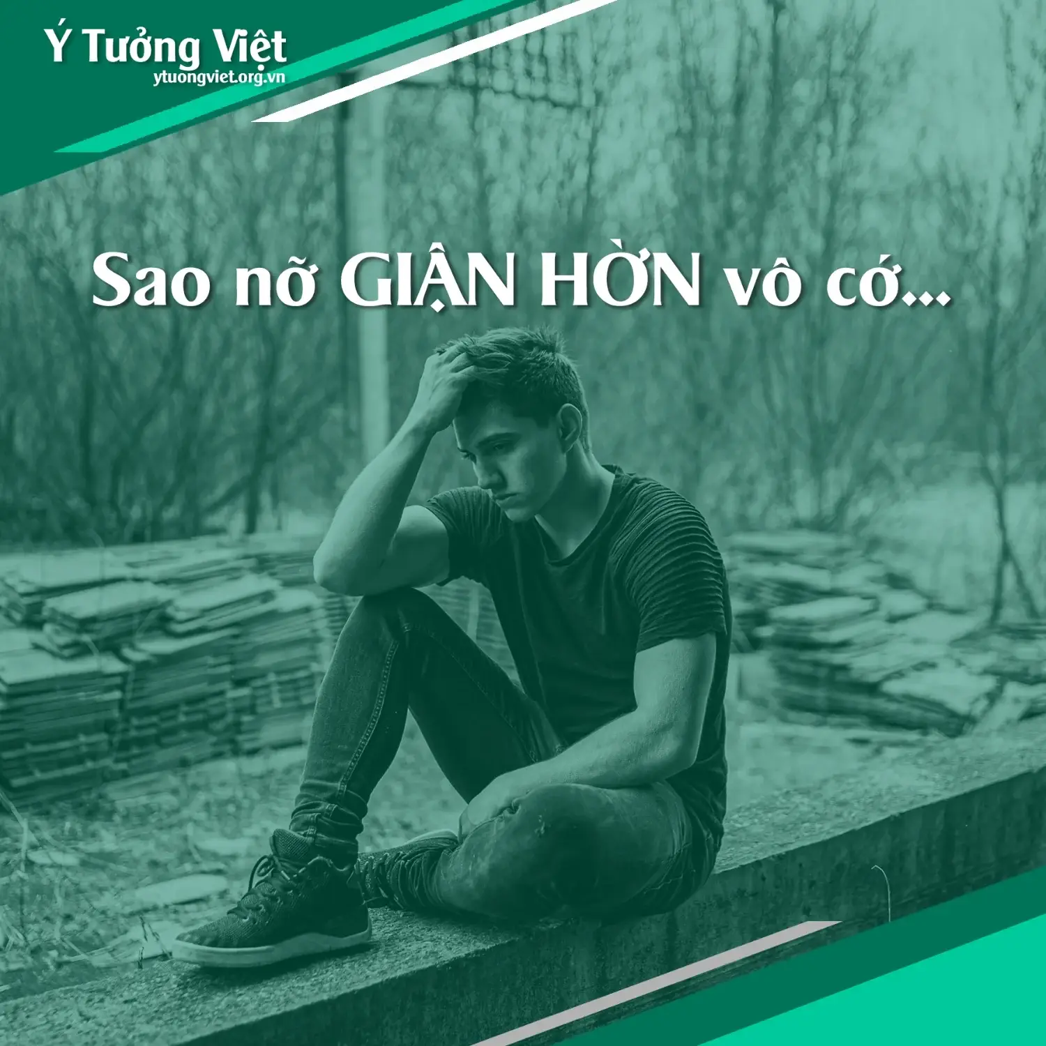 Tu Van Tam Ly Sao No Gian Hon Vo Co 1.webp