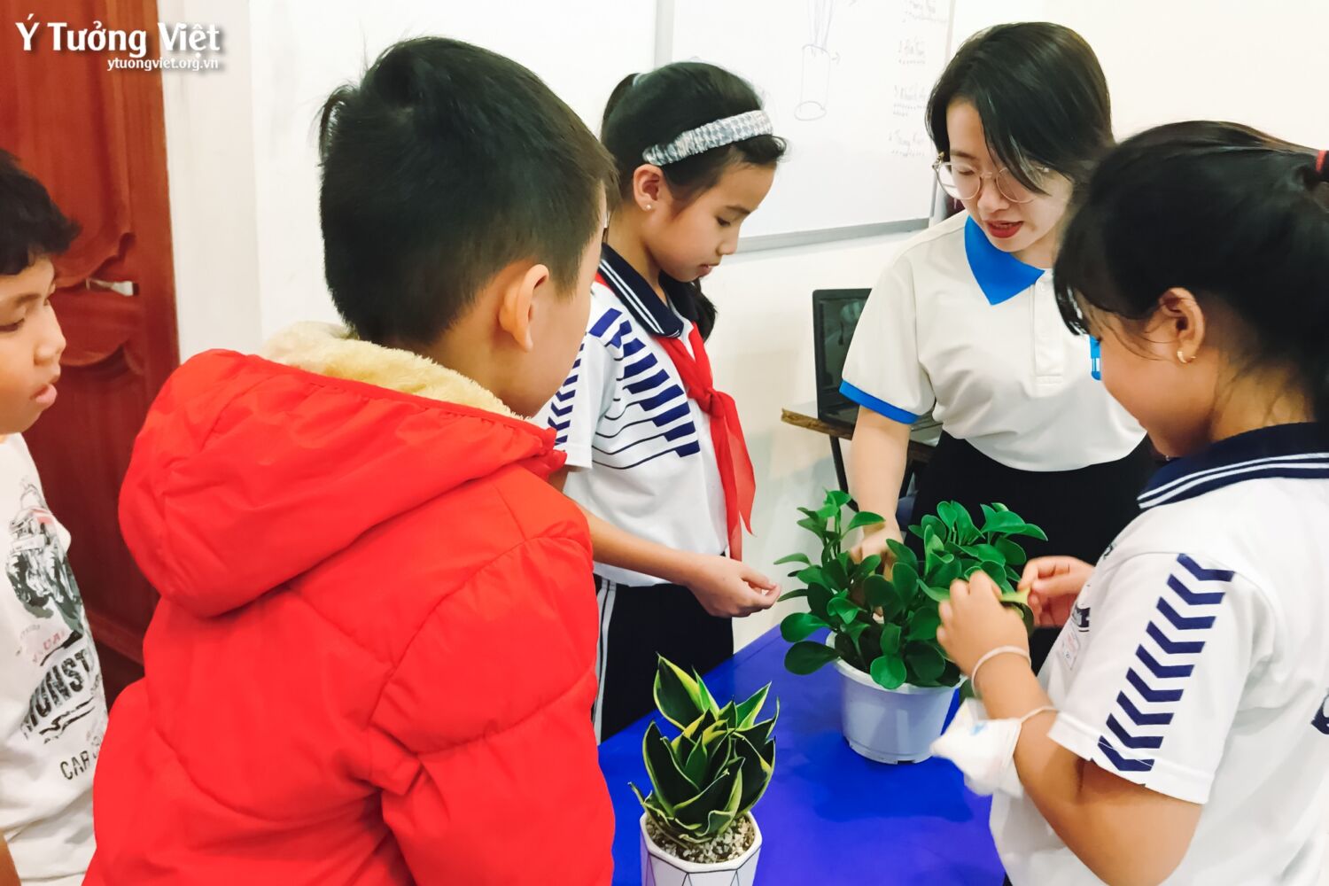 Ươm Mầm Trí Thông Minh Thiên Nhiên Khám Phá Tự Nhiên Qua Góc Nhìn Của Các Bạn Nhỏ ở Lớp Khoa Học Sáng Tạo Nhà Ý Tưởng Việt 02