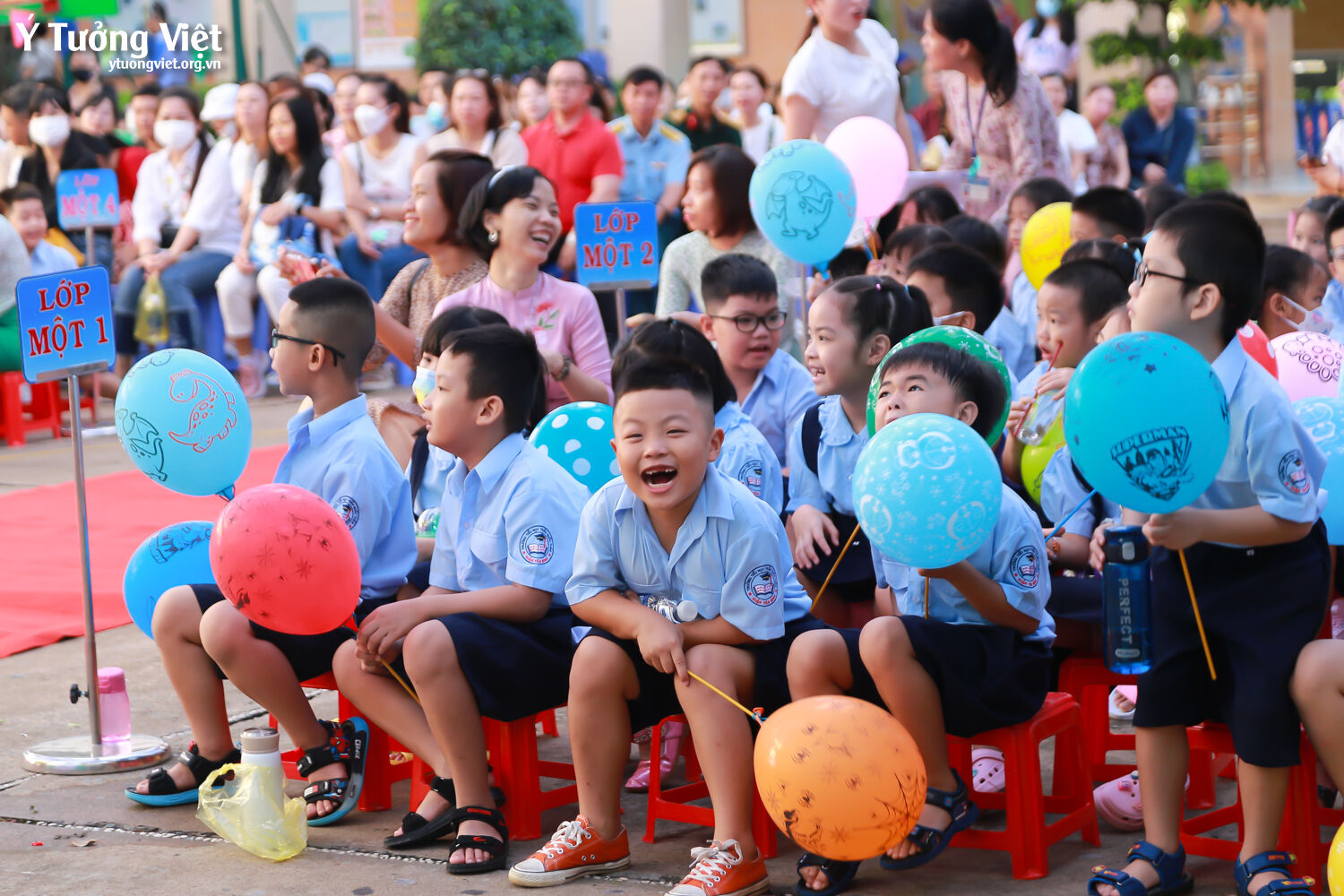 Ngày Hội Đón Học Sinh Lớp Một Trường Mới Bạn Mới 2023 Đi Học Lớp Một Mà Vui Như Các Bạn Nhỏ Trường Th Trần Quốc Tuấn Và Th Huỳnh Văn Chính Ai Lại Hông Mê 05