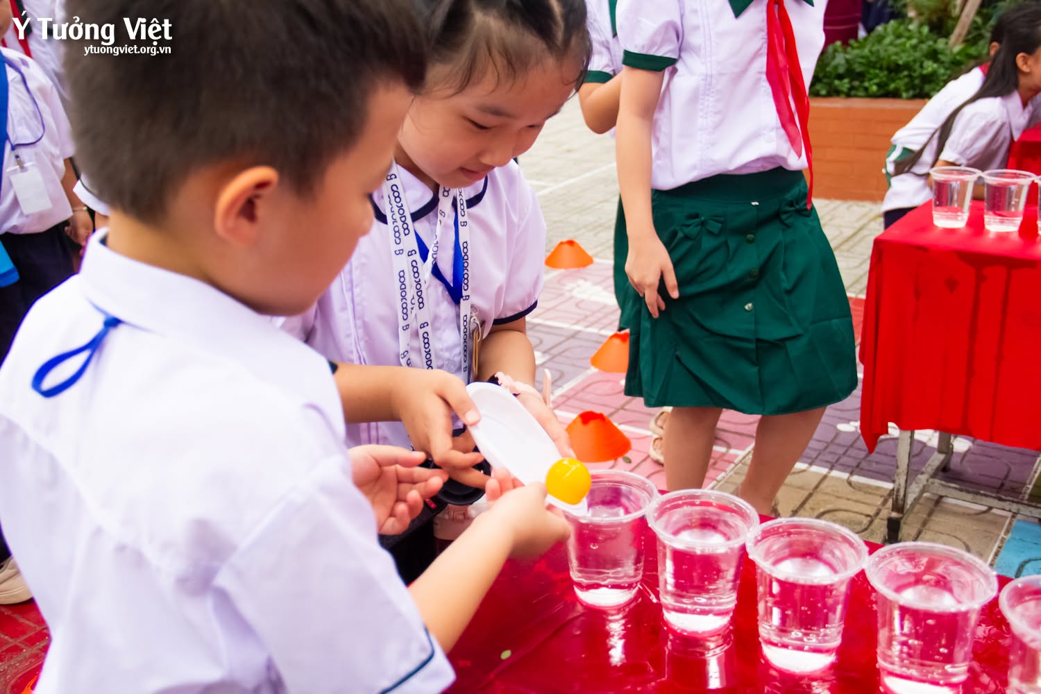 Hành trang vào lớp 1: Khép lại chuỗi ngày hội trải nghiệm tại Tiểu học Hiệp Tân cùng Ý Tưởng Việt